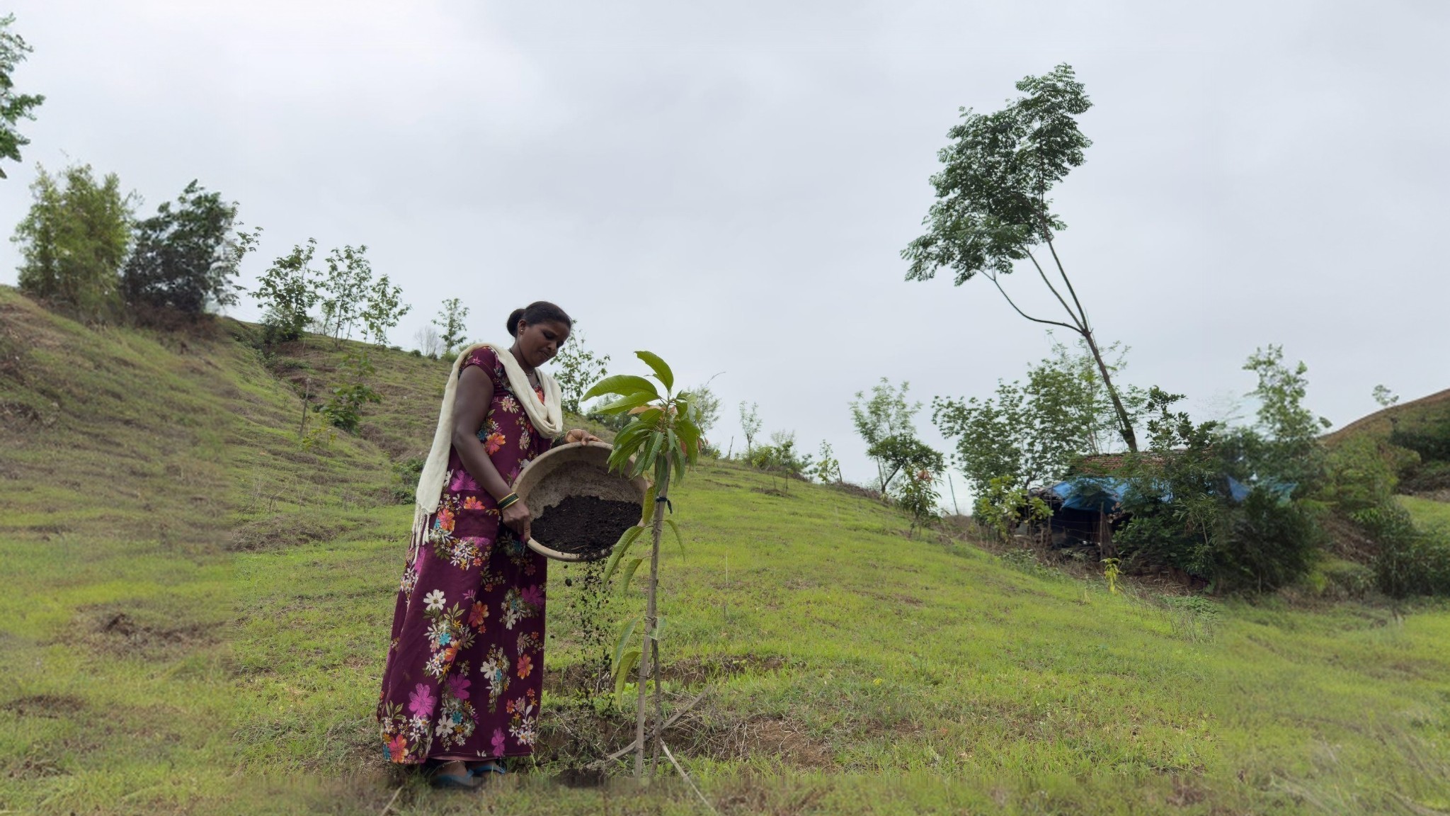 Sustainable Farming